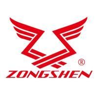 Двигатель бензиновый Zongshen GB 750 E (конус 3:16) купить в Москве с доставкой по всей России | ProtosMarket.ru