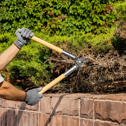 Сучкорез прямого реза, 500 мм, деревянные рукоятки, Горизонт, по ценам производителя в Москве с доставкой по всей России