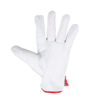 Перчатки кожаные мягкие FOXWELD Акула СА-03 по ценам производителя в Москве с доставкой по всей России