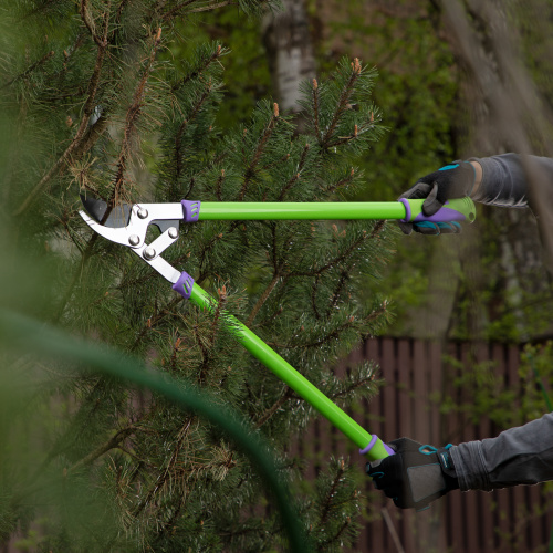 Сучкорез прямого реза, 750 мм, двухрычажный механизм, двухкомпонентные рукоятки, Palisad по ценам производителя в Москве с доставкой по всей России