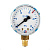 Манометр 25,0 МПа, 1/8 NPT, кислород купить в Москве с доставкой по всей России | ProtosMarket.ru