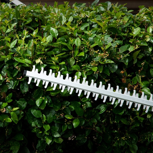 Кусторез аккумуляторный RBC510-36, Li-ion, 36 В, 4 Ач, нож 510 мм, поворотная ручка Denzel по ценам производителя в Москве с доставкой по всей России