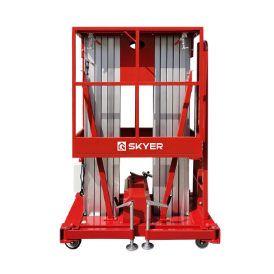 Двухмачтовый подъемник SKYER GTWY12-200 по ценам производителя в Москве с доставкой по всей России