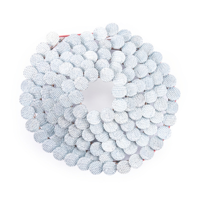 Гвоздь кровельный барабанный с кольцевой накаткой с цинковым покрытием 3,1 х 25 мм 120 шт. AERO купить в Москве с доставкой по всей России | ProtosMarket.ru