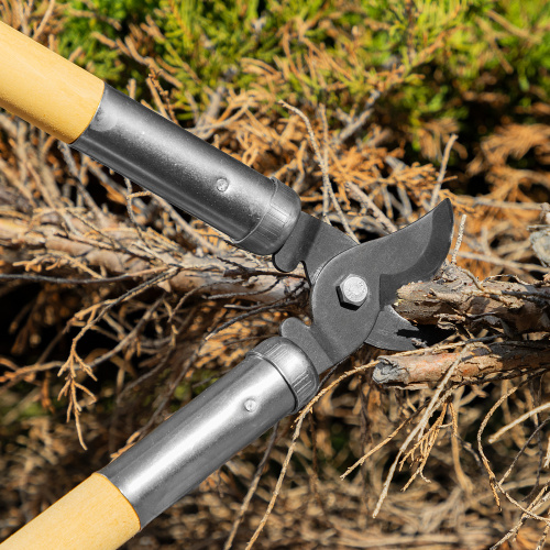 Сучкорез прямого реза, 500 мм, деревянные рукоятки, Горизонт, по ценам производителя в Москве с доставкой по всей России