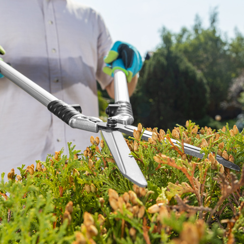 Кусторез, 600 мм, кованый, алюминиевые обрезиненные рукоятки, Forged LUXE Palisad по ценам производителя в Москве с доставкой по всей России