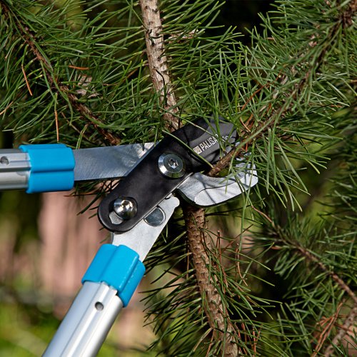 Сучкорез прямого реза, 560 - 735 мм, телескопические алюминиевые рукоятки, Luxe, Palisad по ценам производителя в Москве с доставкой по всей России