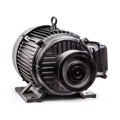 Электродвигатель в сборе AEROMAX EM-1350 (400В / 11кВт) купить в Москве с доставкой по всей России | ProtosMarket.ru