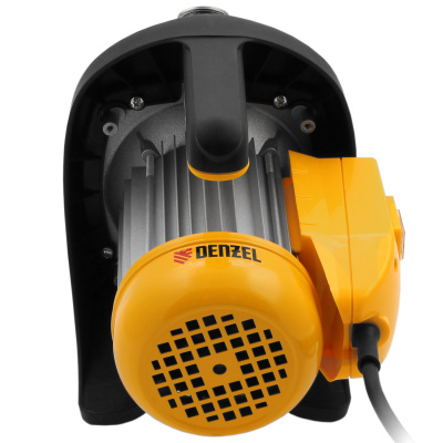 Садовый поверхностный насос GP1200Х, 1200 Вт, 3700 л/ч, подъем 46 м, нержавейка Denzel купить в Москве с доставкой по всей России | ProtosMarket.ru