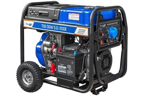 Дизельный сварочный генератор TSS PROF DGW 5.0/200E купить в Москве с доставкой по всей России | ProtosMarket.ru