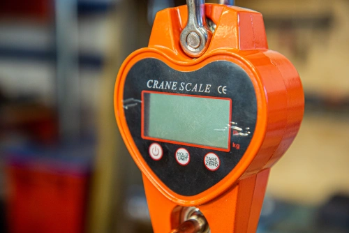 Весы электронные крановые TOR OCS-L 500кг по ценам производителя в Москве с доставкой по всей России