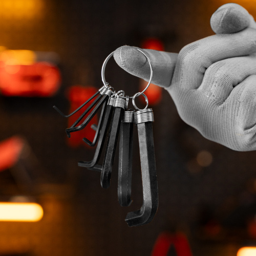 Набор ключей имбусовых HEX, 1.5-10 мм, CrV, 10 шт, оксидированные, на кольце Sparta по ценам производителя в Москве с доставкой по всей России